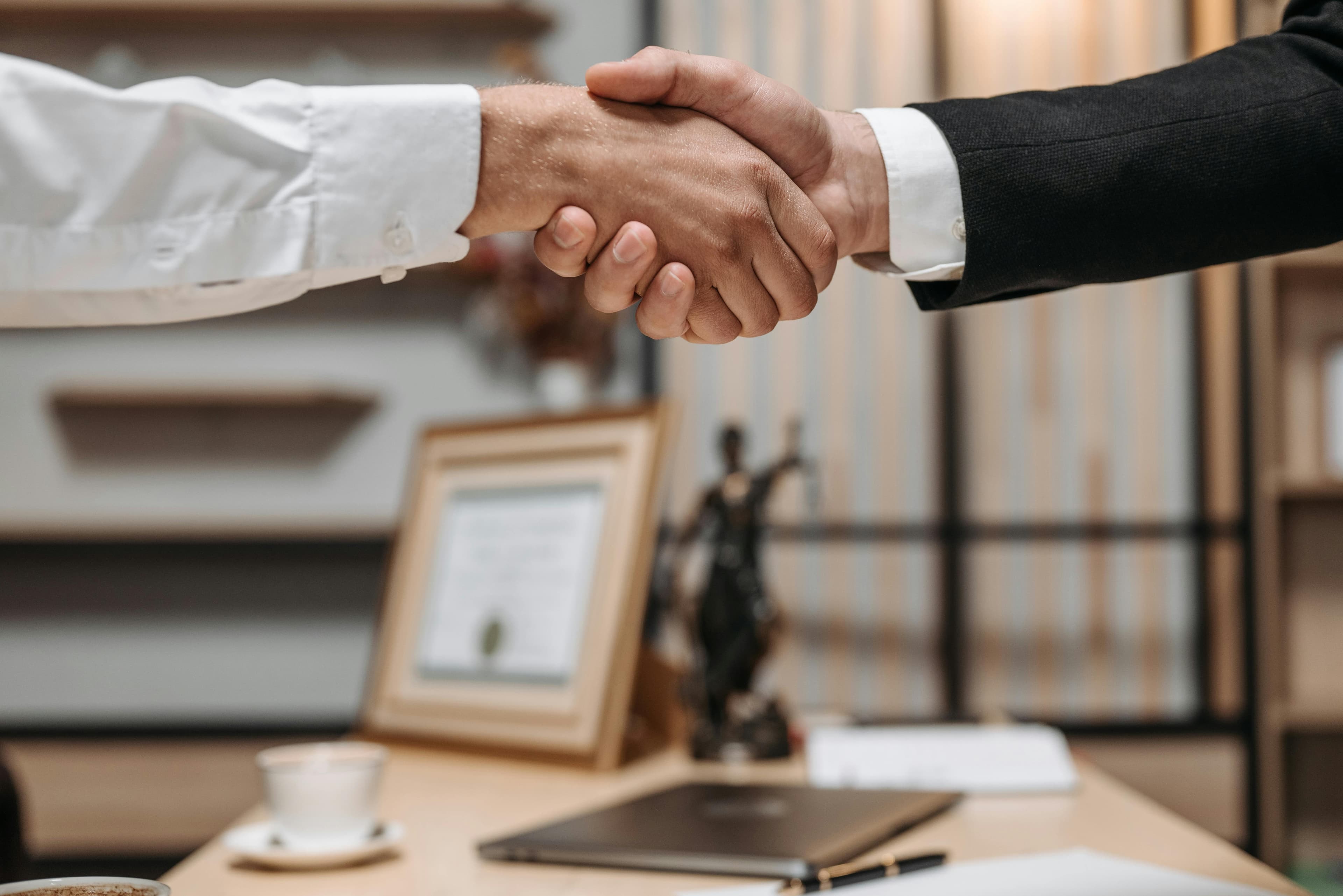 Professional legal consultation - SMS Law Firm